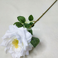 Роза 50см.Арт.YH-026