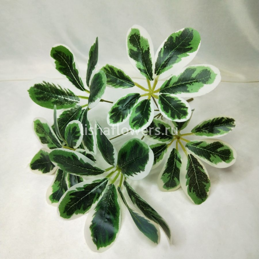 Фикус 35 см.Арт.3107